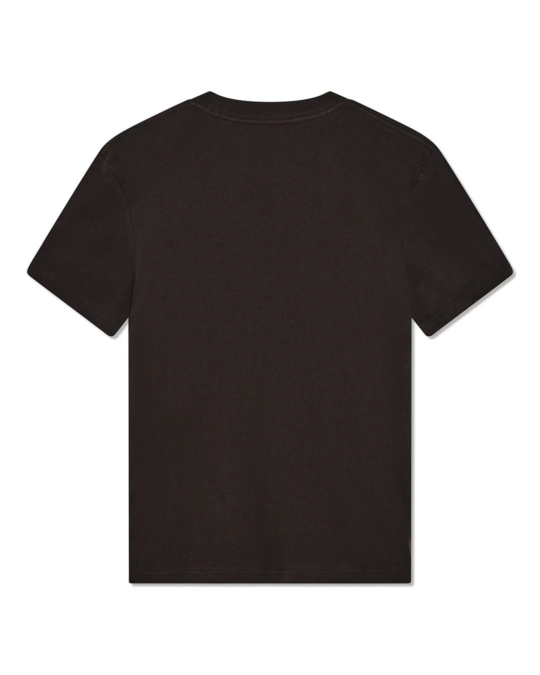 Bird Scratch Tee - Java Brown - Image 4