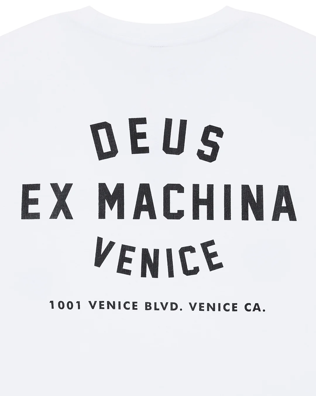 Venice Skull Tee - White - Image 8